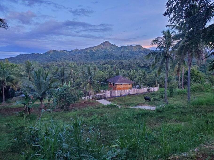 Vila Modern Bahay Kubo In A Farm Near Tagaytay Tagaytay City Exteriér fotografie